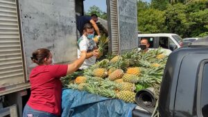 Imagem da notícia - Governo do Amazonas entregou 12 toneladas de produtos agrícolas a 10 entidades socioassistenciais